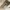 Converse Streetwear Y2K Sneakers Pria black photo 6
