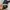 Converse Streetwear Y2K Sneakers Pria black photo 7