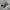 VANS Streetwear Sneakers Pria navy photo 1