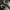Adidas Indie Casual Sneakers Pria white gray photo 4