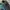 Nike Gorpcore Sportswear Sneakers Pria black blue photo 2