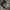 Nike Sportswear Sneakers Pria silver black photo 4