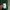 Fruit of the Loom Streetwear Minimalist Sweatshirt Pria green photo 5