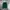 Fruit of the Loom Streetwear Minimalist Sweatshirt Pria green photo 1