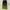 Cottagecore Fairy Pleated skirt Wanita green photo 1