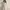 Casual Casual dress Wanita cream photo 2