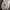 Y2K Hoody Pria cream photo 1