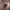 BOY London Streetwear Luxury Sweatshirt Pria tan photo 4