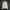 Uniform Bridge Streetwear Minimalist Sweatshirt Pria Cream