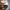 Uniform Bridge Streetwear Minimalist Sweatshirt Pria cream photo 6