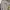 MLB Streetwear Sportswear Sweatshirt Pria gray photo 1