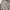 MLB Streetwear Sportswear Sweatshirt Pria Gray