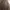 Champion Casual Leather jacket Pria brown photo 1