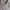 Casual Sweater Pria gray photo 3