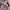Casual Hoody Pria purple brown photo 2