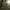 Y2K Trench coat Pria tan brown photo 1