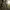 Y2K Trench Coat Pria Tan Brown