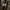 Y2K Trench coat Pria tan brown photo 4