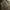 Y2K Trench coat Pria tan brown photo 3