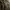 Y2K Trench coat Pria tan brown photo 6