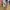 Tommy Hilfiger Streetwear Casual shirt Pria multicolor photo 5