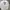 Stussy Streetwear Casual Sweatshirt Pria white black photo 1