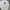 Stussy Streetwear Casual Sweatshirt Pria White Black