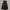 Vintage Y2K Jumpsuit Wanita green photo 1