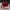 Stussy Minimalist Shoulder bag Wanita red photo 1