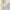 ADA Fashion Minimalist Blouse Wanita white photo 2