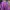 Gorpcore Track jacket Pria purple photo 4