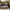 VANS Y2K Skater Sneakers Pria white black photo 1