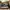 VANS Y2K Skater Sneakers Pria White Black