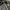 Adidas Sportswear Track jacket Pria black photo 2