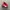 Puma Casual Sneakers Pria white red photo 2