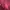 This is April Luxury Blouse Wanita burgundy red photo 5