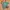 Vintage Y2K T-shirt Pria green photo 2