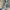 Flowery off shoulder maxi dress Size photo 3