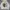 Streetwear Hoody Pria white photo 1