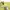 Montbell Biker Sportswear T-shirt Pria khaki gray photo 4