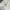 H&M Luxury Minimalist Crop top Wanita white photo 2