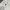 H&M Luxury Minimalist Crop Top Wanita White