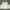 H&M Luxury Minimalist Crop top Wanita white photo 1