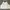 H&M Luxury Minimalist Crop Top Wanita White