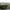 Montbell Minimalist Short Pria green cream photo 6