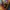 Timberland Streetwear Y2K Boots Pria yellow photo 5