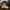 Timberland Streetwear Y2K Boots Pria yellow photo 4