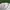 Y2K Skater Sweatshirt Pria white green photo 2