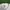 Y2K Skater Sweatshirt Pria White Green