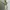 Y2K Skater Sweatshirt Pria white green photo 3